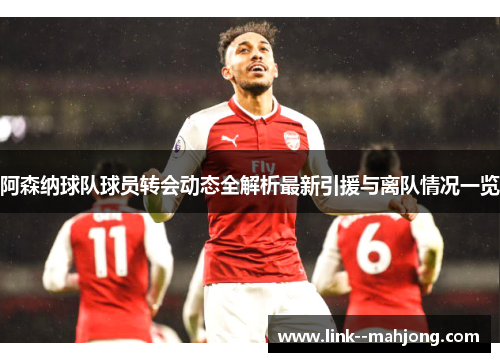 阿森纳球队球员转会动态全解析最新引援与离队情况一览 阿森纳球队球员转会动态全解析最新引援与离队情况一览