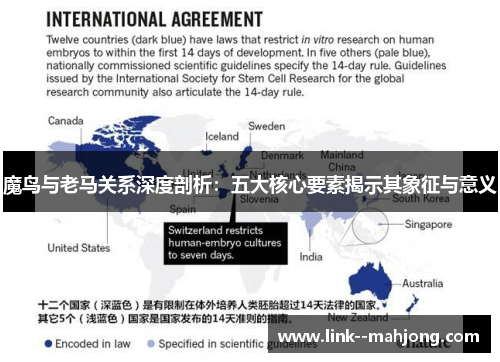 魔鸟与老马关系深度剖析：五大核心要素揭示其象征与意义