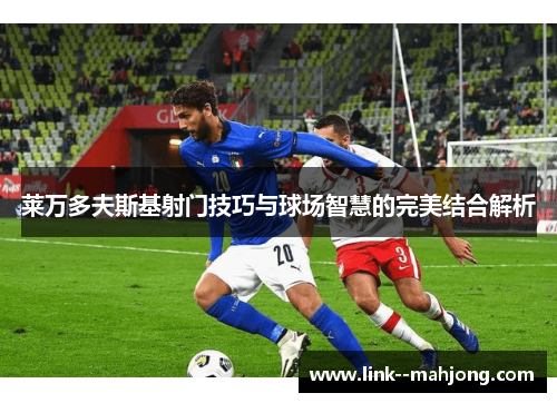 莱万多夫斯基射门技巧与球场智慧的完美结合解析