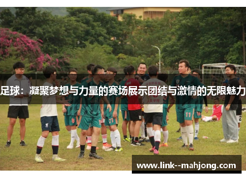 足球：凝聚梦想与力量的赛场展示团结与激情的无限魅力