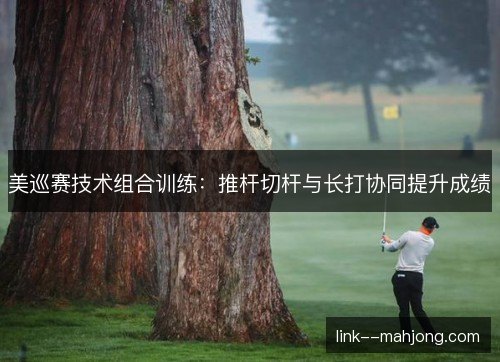 美巡赛技术组合训练：推杆切杆与长打协同提升成绩